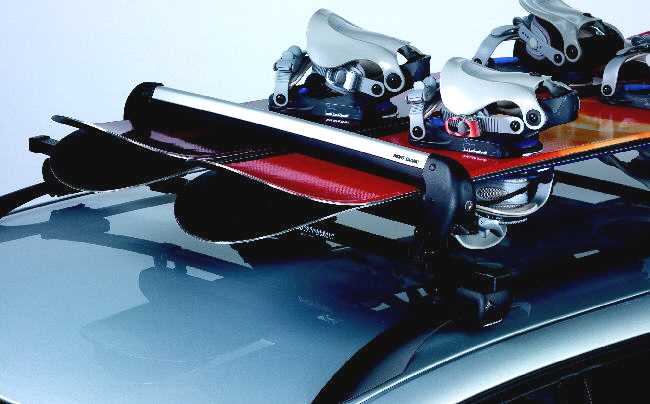 McKinley Ski Rack Accessory